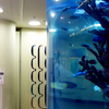 A Leyu Acrílico Aquarium Factory vende placas acrílicas para aquários com espessura máxima de 800mm - Leyu