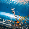 360 Aquarium Tunnel Polar Ocean World, Leyu personalizado profissional - Leyu