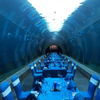 Aquários subaquáticos de túnel de tubarão Oceanarium em Ocean Park - Fábrica de produtos de folha acrílica Leyu