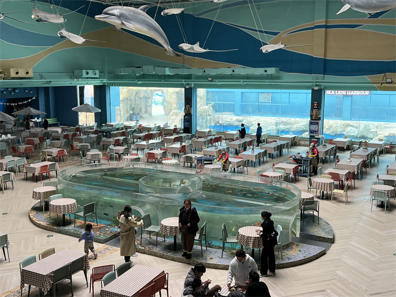 A Leyu Acrílico Aquarium Factory vende placas acrílicas para aquários com espessura máxima de 800mm - Leyu