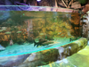 Aquário Aqualife construído pela Leyu Acrílico Aquarium Factory - Leyu