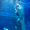 Acrílico é o material preferido para construção de aquários Deixe você sentir o mistério e o encanto do oceano - Piscinas de acrílico Leyu à venda
