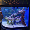 Como limpar janelas de acrílico na fábrica de acrílico Ocean Park-leyu